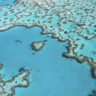 Photo of The Great Barrier Reef